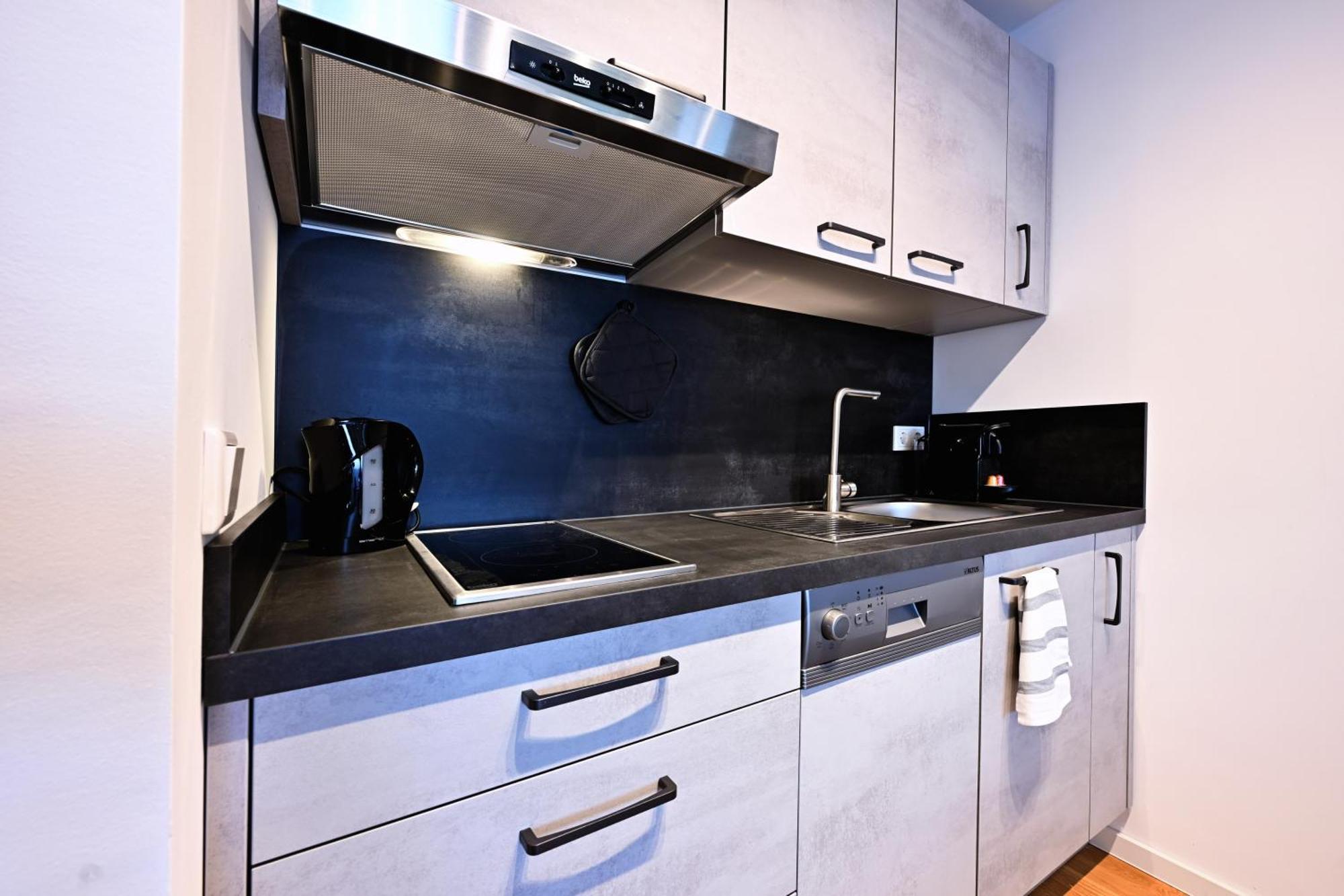 Appartement Rosengarten Fuerth, Moderne Serviced In Citylage, Ganze 50 M2, Nahe Nuernberg, Metro, Sauna
